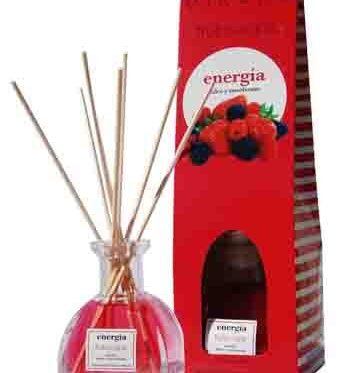 ΑΡΩΜΑΤΙΚΟ ΧΩΡΟΥ ΜΕ STICKS MIKADO FRUTOS ROJOS 100 ml