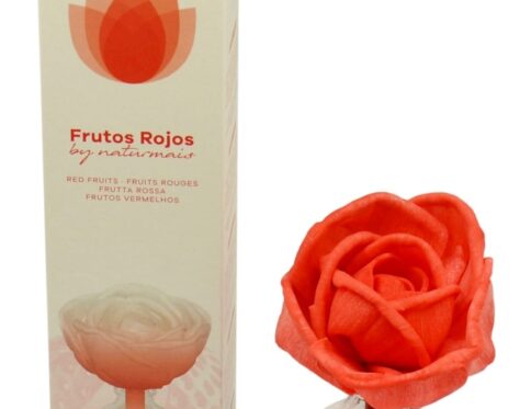 ΑΡΩΜΑΤΙΚΟ ΧΩΡΟΥ ΛΟΥΛΟΥΔΙ FRUTOS ROJOS 50 ml