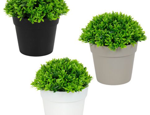 ΤΕΧΝΗΤΟ ΠΡΟΣΦΟΡΑ ΦΥΤΟ GREEN ΣΕ ΓΛΑΣΤΡΑΚΙ 12x13cm No43423
