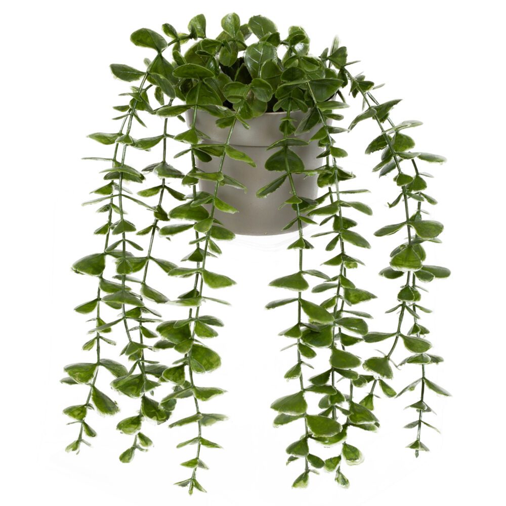 ΤΕΧΝΗΤΟ ΦΥΤΟ EUCALYPTUS ΣΕ ΓΛΑΣΤΡΑΚΙ 16x26cm No43447 - Image 2